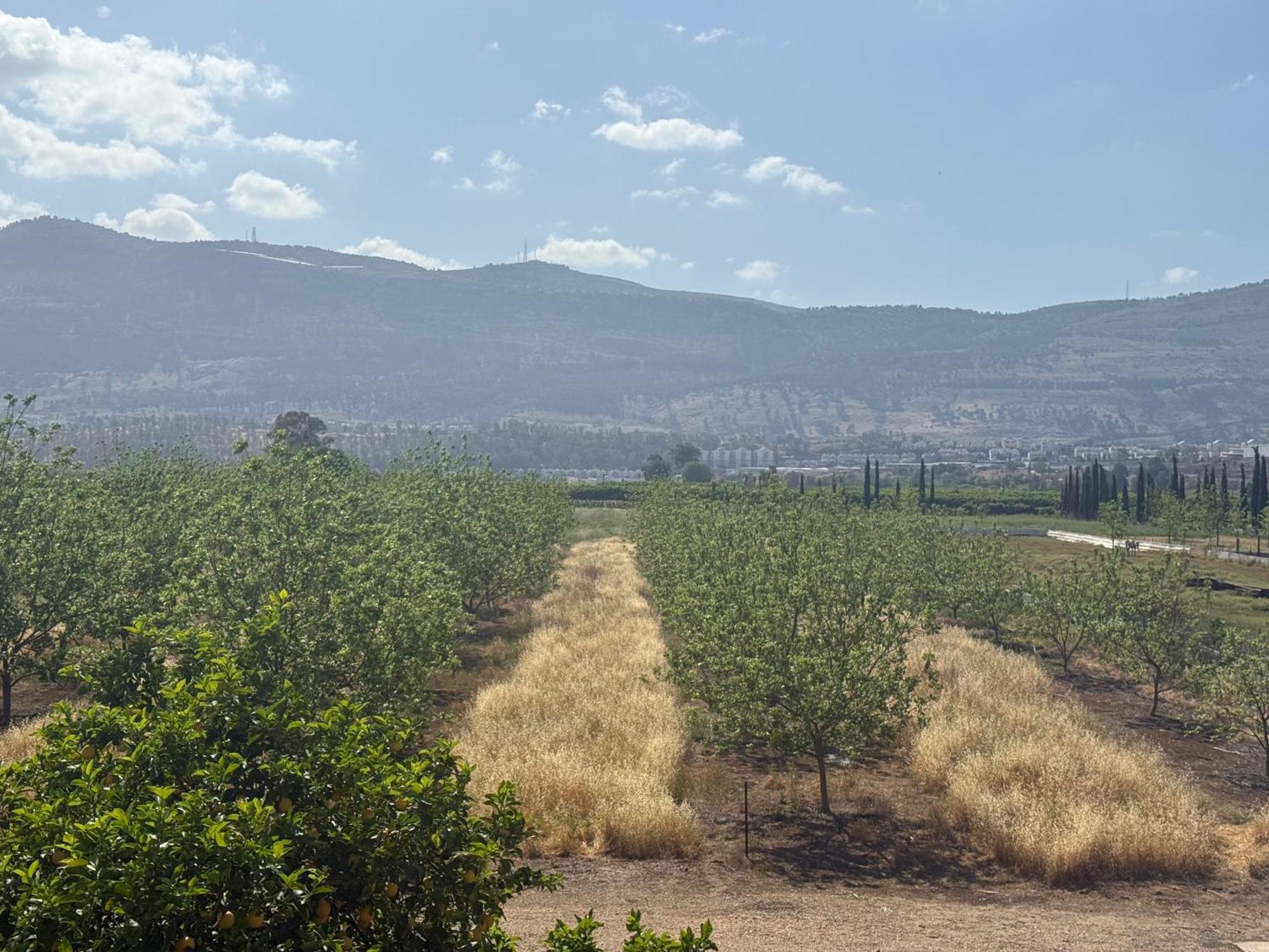 Gross Nofesh And Spa Guesthouse Beit Hillel Exterior foto